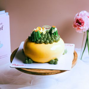 Gato Bình xương rồng vàng