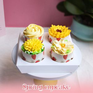 Spring cupcake set